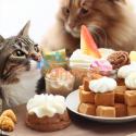 Curso Postres para Perros Gatos Aprende a Consentirlos con Amor 3