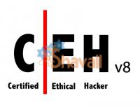 Certified Ethical Hacker Video Training Course