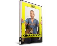 César al Rescate en Castellano