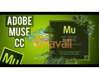 Video Curso Fundamentos de Adobe Muse