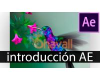 Video Curso Introduccion a After Effects CC