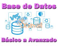 Vídeo Curso Programación Bases de Datos de Básico a Avanzado