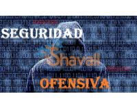 Vídeo Curso Seguridad Ofensiva Profesional Hacking Ético