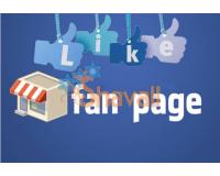 Vídeo Curso Crea y Mantiene una FanPage Profesional en Facebook