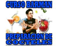 CURSO BARMAN PREPARACION COCTELES RECETAS VINOS TRAGOS CERVEZA