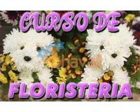 CURSO FLORISTERIA RAMOS ARREGLOS FLORALES CENTROS DE MESA EVENTO