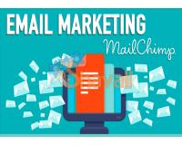 Vídeo Curso Email Marketing con Mailchimp Tutorial en Español