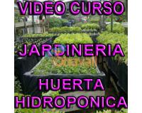 CURSO JARDINERIA HUERTA HIDROPONICA CUIDADOS PLANTAS HORTICULTUR