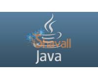 Video Curso Capacitación Virtual Programación Desarrollo Java