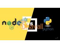 Video Curso de Desarrollador BackEnd django node js