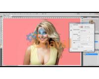Video Curso Manejo De Selecciónes con Photoshop