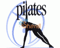 VIDEO CURSO PILATES CLASES EN CASA 4 DVD BENEFICIOS ADELGAZAR