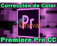 Vídeo Curso Aprende la Corrección de Color con Premiere Pro CC