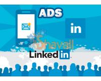 Vídeo Curso Crea Campañas de Marketing en LinkedIn Ads