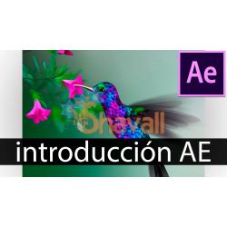 Video Curso Introduccion a After Effects CC