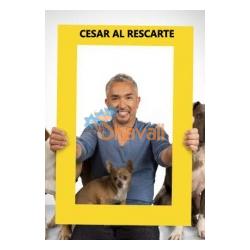 César al Rescate en Castellano 1