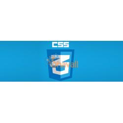 Vídeo Curso Animación transformaciones y Transiciones en CSS3 1