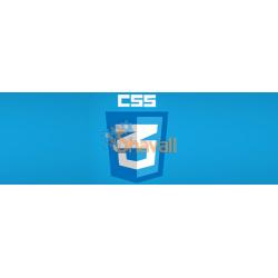 Vídeo Curso Animación transformaciones y Transiciones en CSS3 1