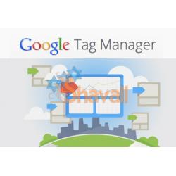 Vídeo Curso Avanzado de Google Tag Manager para Tus Campañas 1