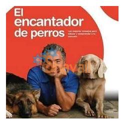 El Encantador De Perros Temporadas 1, 2, 3, 4 Cesar Millan 1