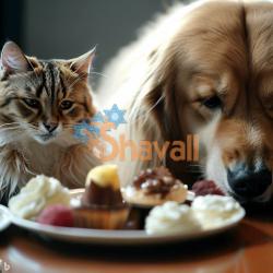 Curso Postres para Perros Gatos Aprende a Consentirlos con Amor 1